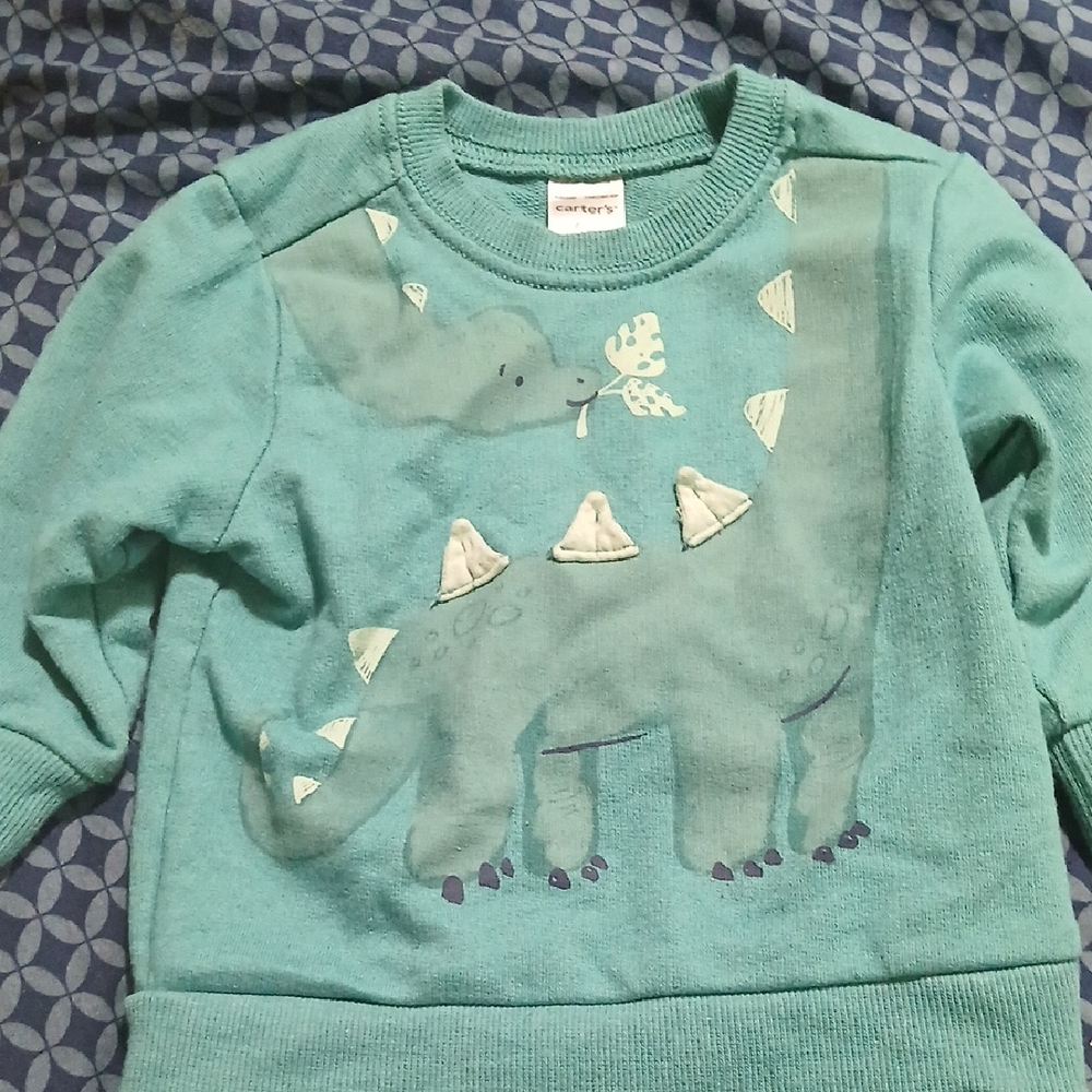 Dinosaur Sweatshirt for Baby